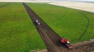 Affordable Expert Drainage Services in Azle , TX Near You