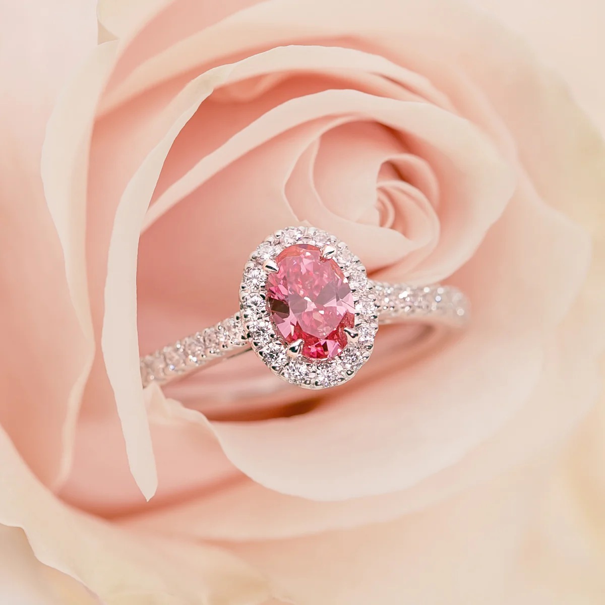 Rose Gold Diamond Ring Crafted for Timeless Bridal Sophistication