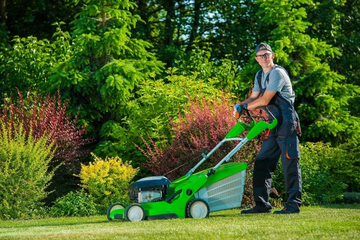 Lawn Mowing Services for a Cleaner and Greener Yard
